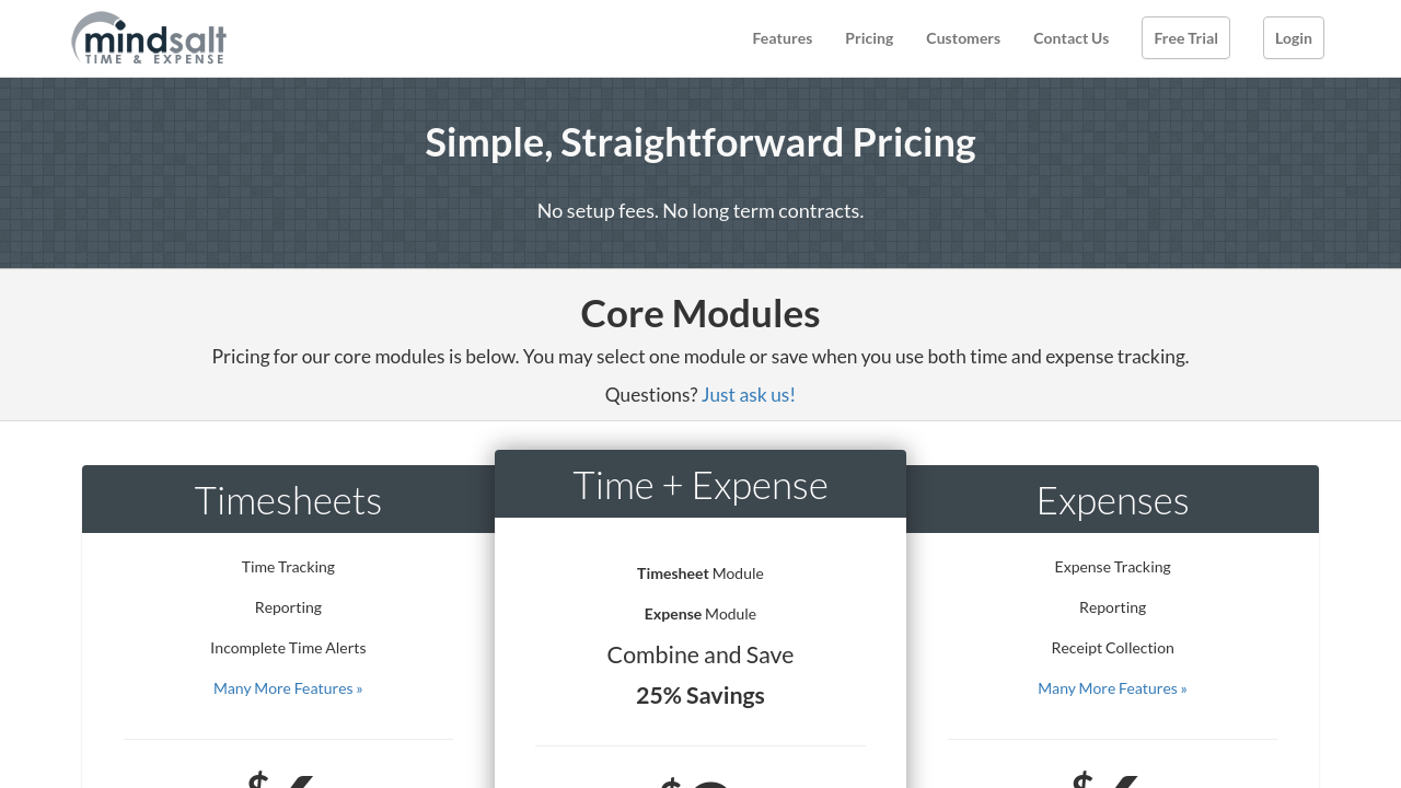 MindSalt Time Expense